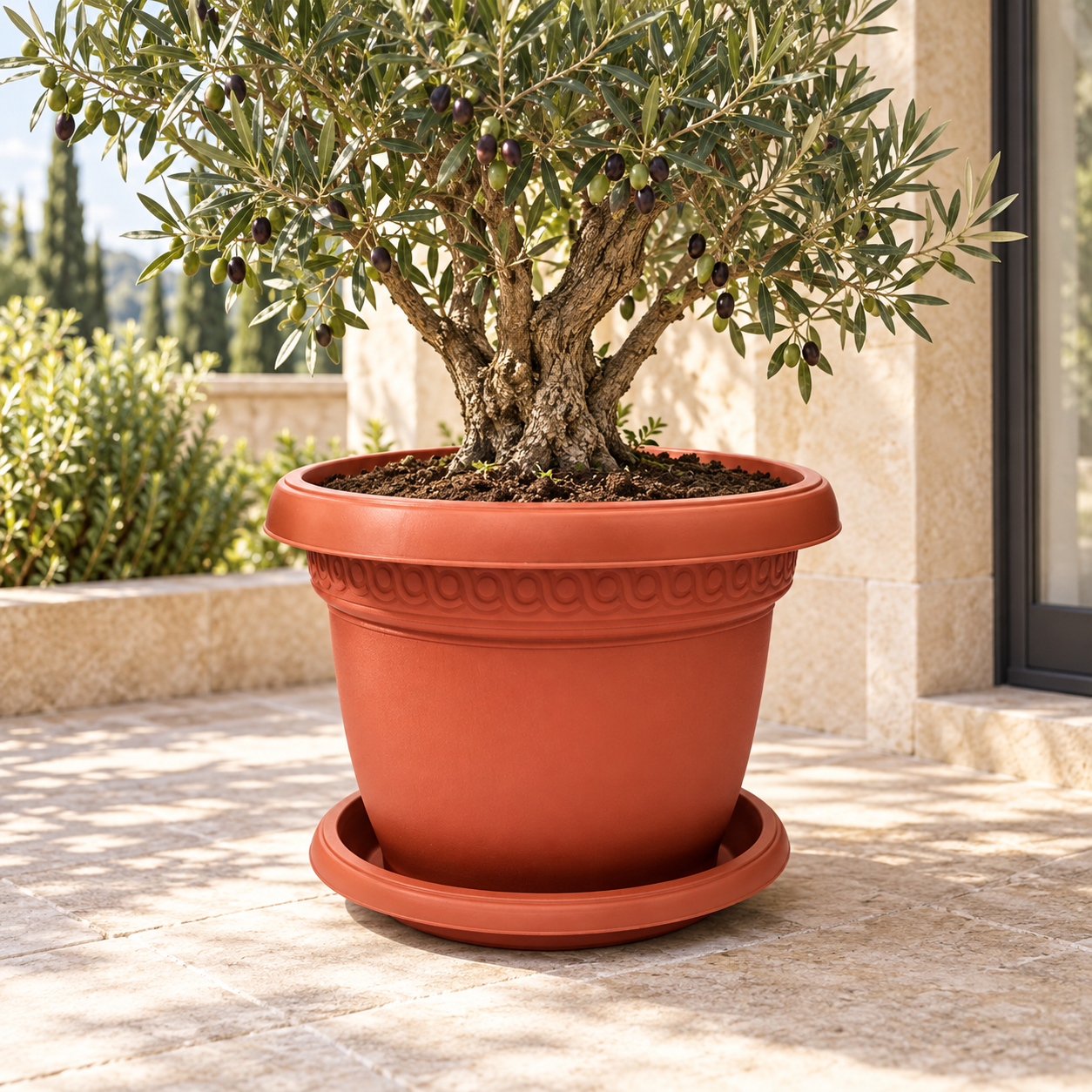 B102-9 Pot 9 terracotta planter with olive tree on a European terrace