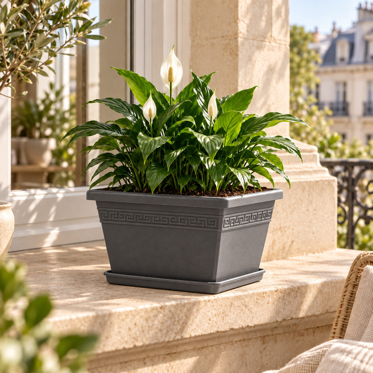 BURDEM B195-3 grey rectangular planter with a peace lily