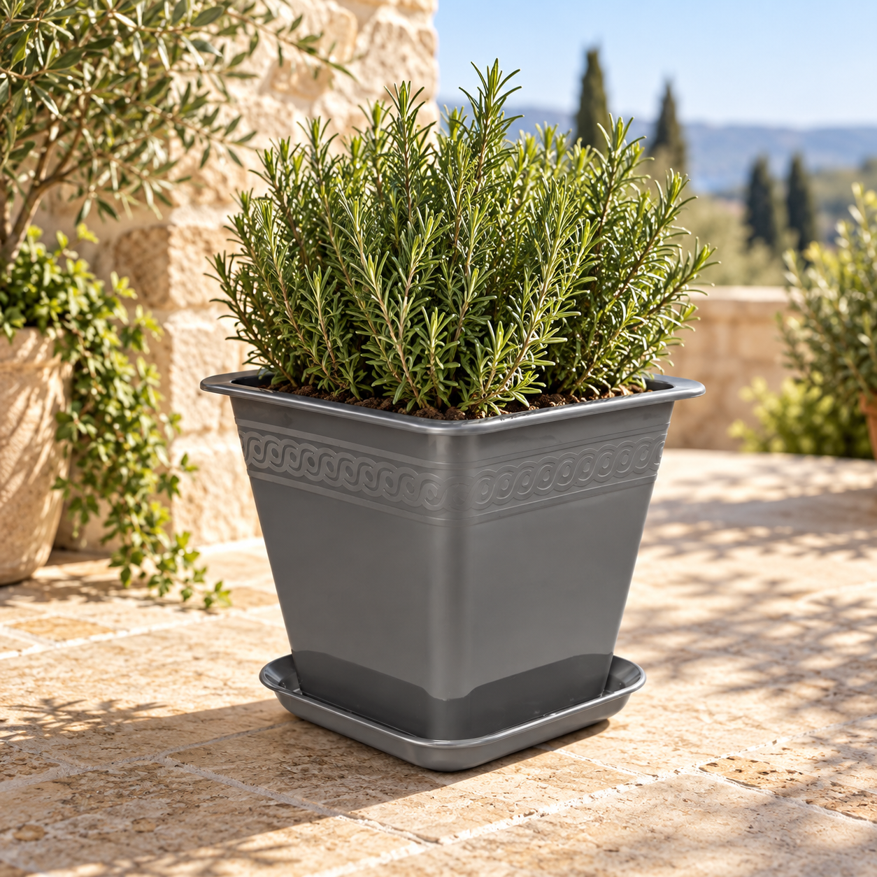 BURDEM B195-5 rectangular planter with rosemary