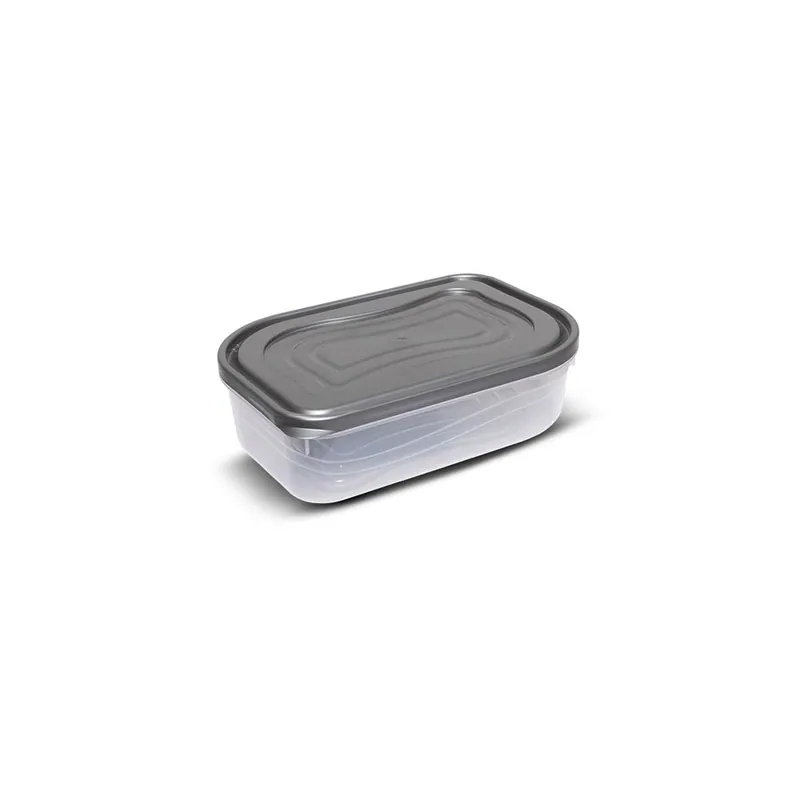 Storage Box Shallow Trendy-2 (2lt)