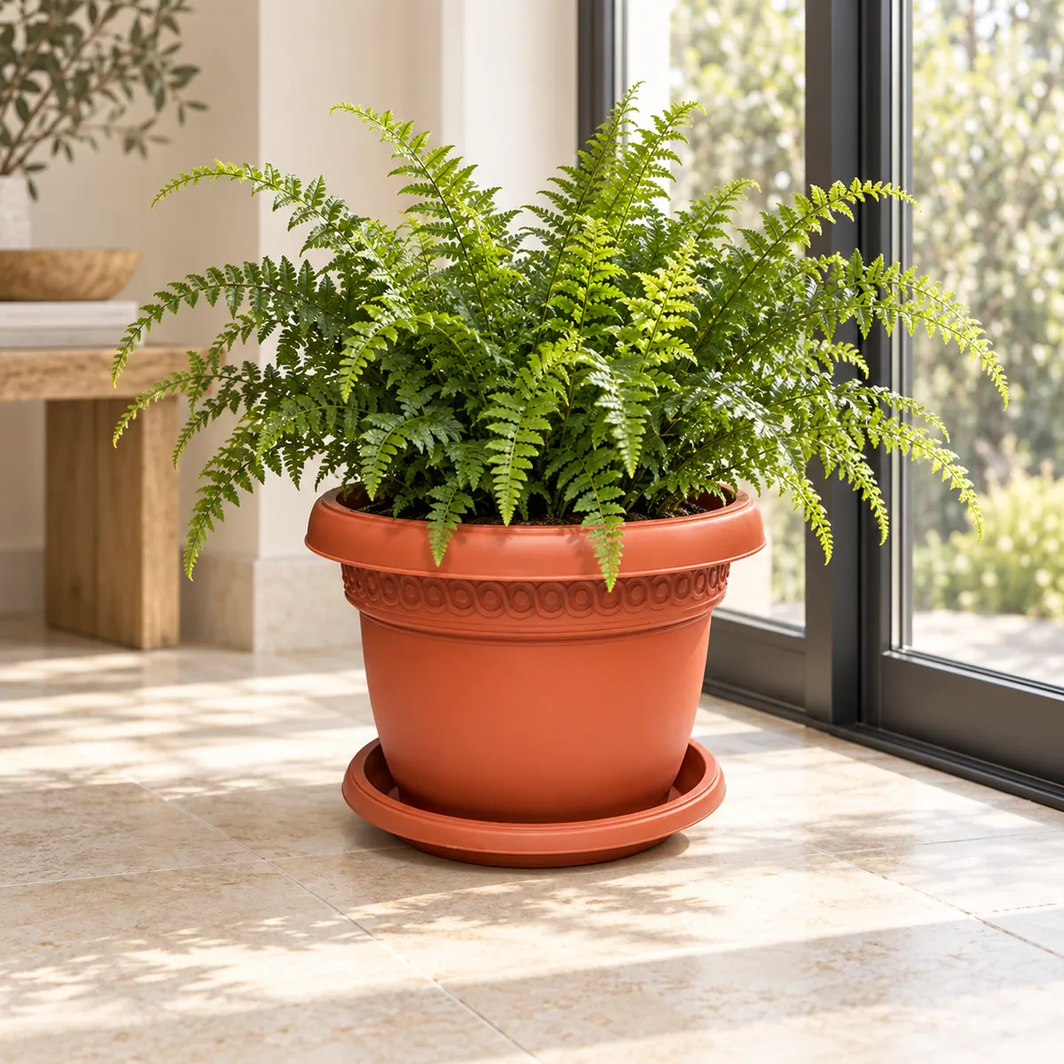 B102-4 Pot 4 terracotta fern planter in a European conservatory