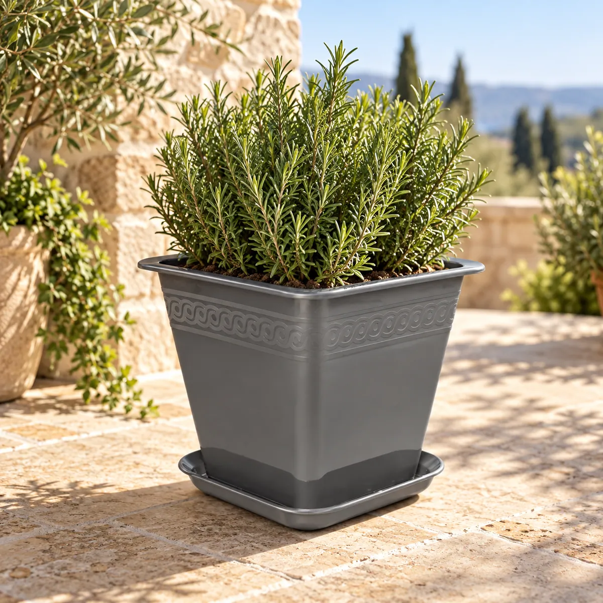 BURDEM B195-5 rectangular planter with rosemary
