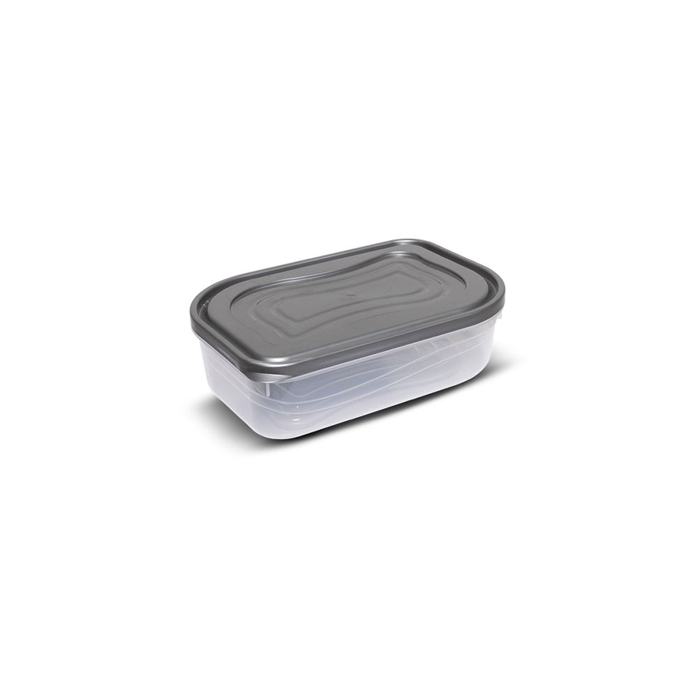 STORAGE BOX Shallow TRENDY-2 (2lt)
