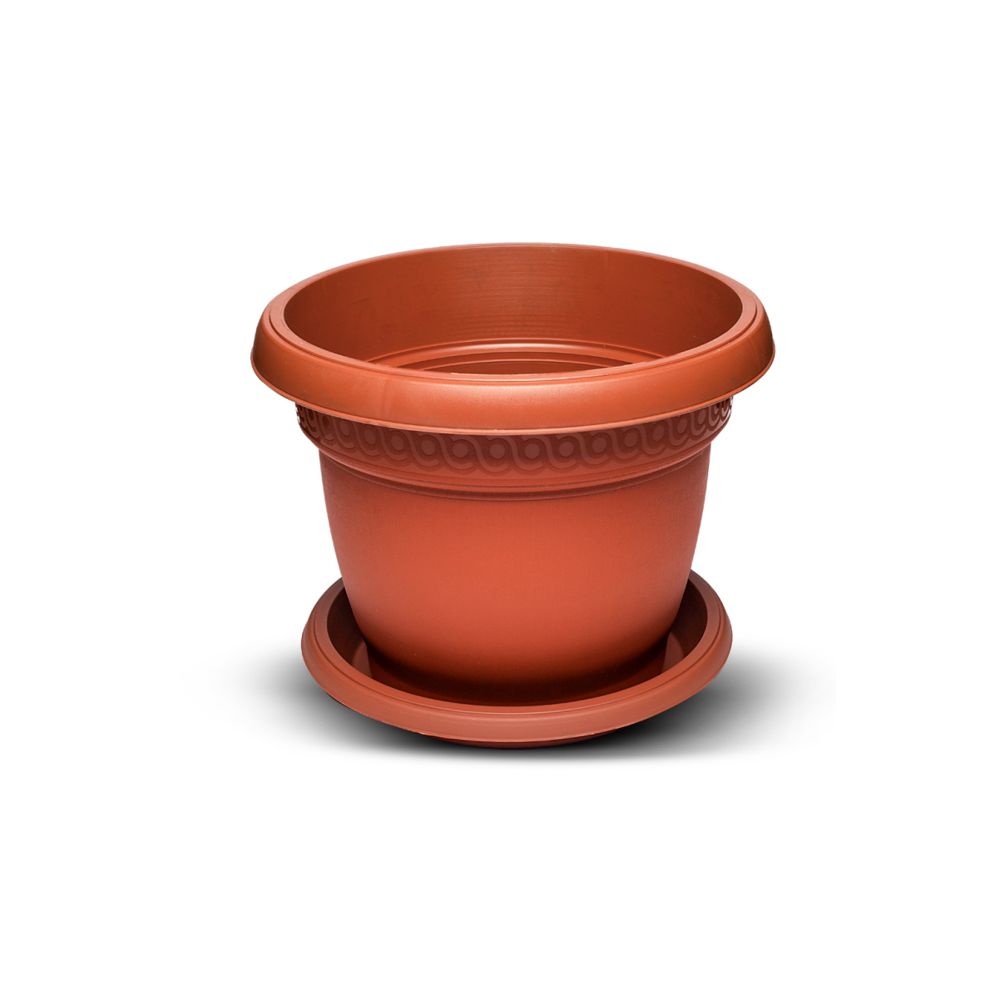 POT 6