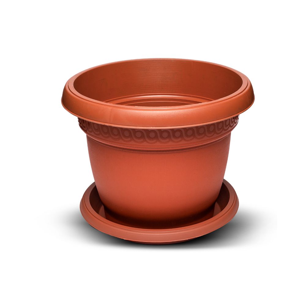 POT 8